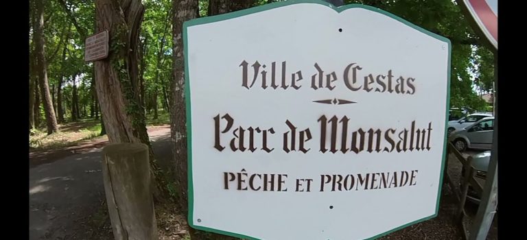 23 mai 2021 entre ville et marécage gyroroues et trottinettes