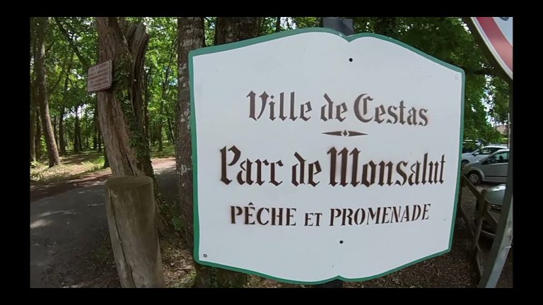 23 mai 2021 entre ville et marécage gyroroues et trottinettes