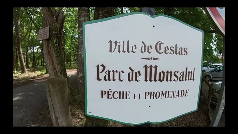 23 mai 2021 entre ville et marécage gyroroues et trottinettes