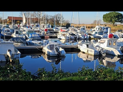 Live en gyroroue du coté d&rsquo;Arcachon en gironde le 17 décembre 2023 avec Yoann