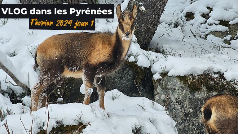 VLOG Pyrénées février 2024 jour 1
