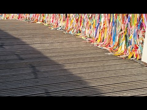 Aveiro au Portugal Live proposé par expliquemoica