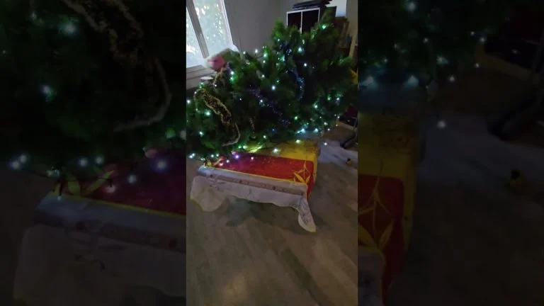 Noël avec des animaux c&rsquo;est beau mais…